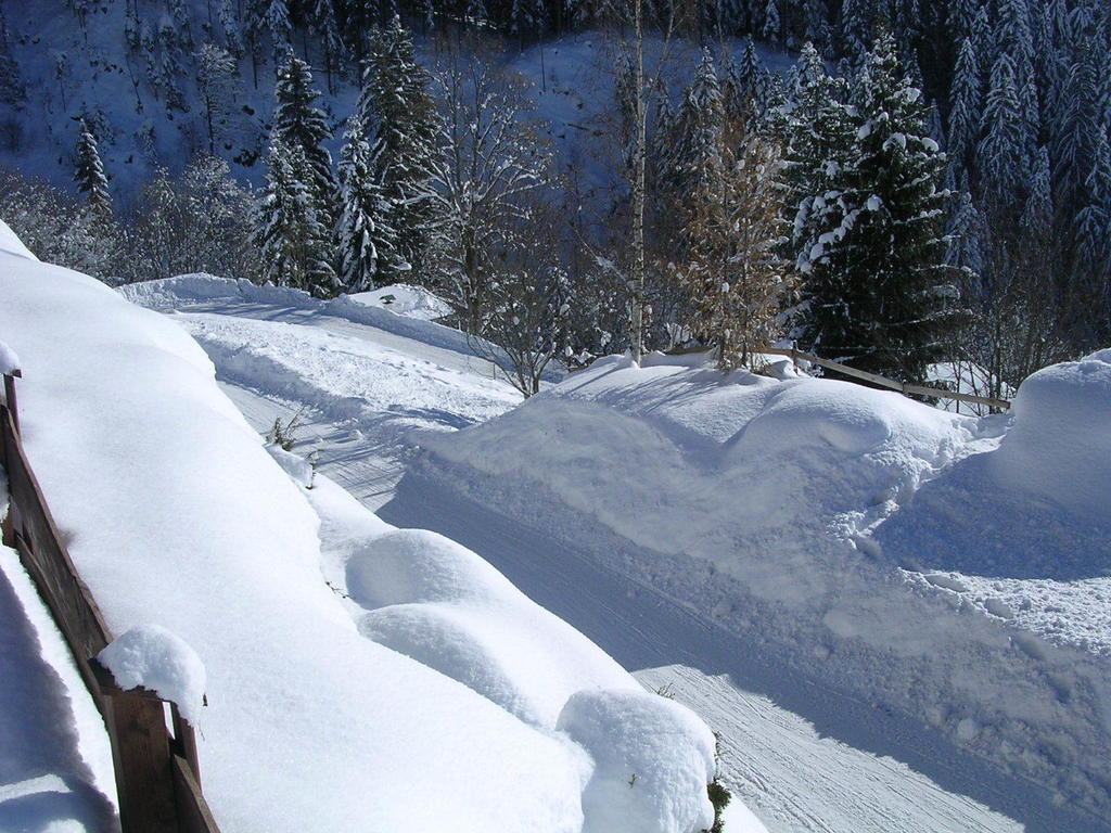 Appartement Oberschernthann Hopfgarten im Brixental Kültér fotó